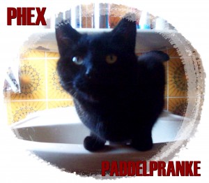 Phex